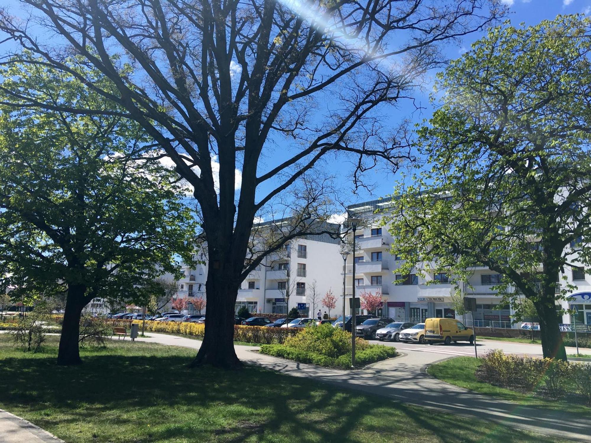 Apartamenty Platan - Visitopl Świnoujście Exteriör bild